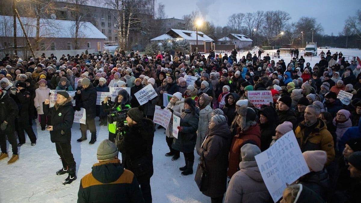 «Я вдруг поняла, что птицы исчезли»